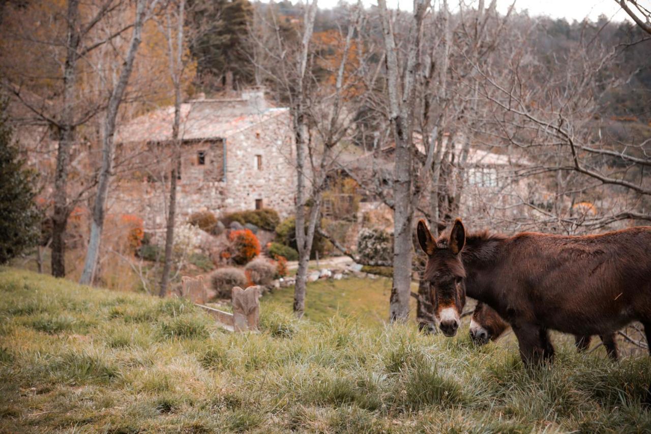 Maison D'Hotes Le Hameau De La Mure Saint-Laurent-du-Pape Dış mekan fotoğraf