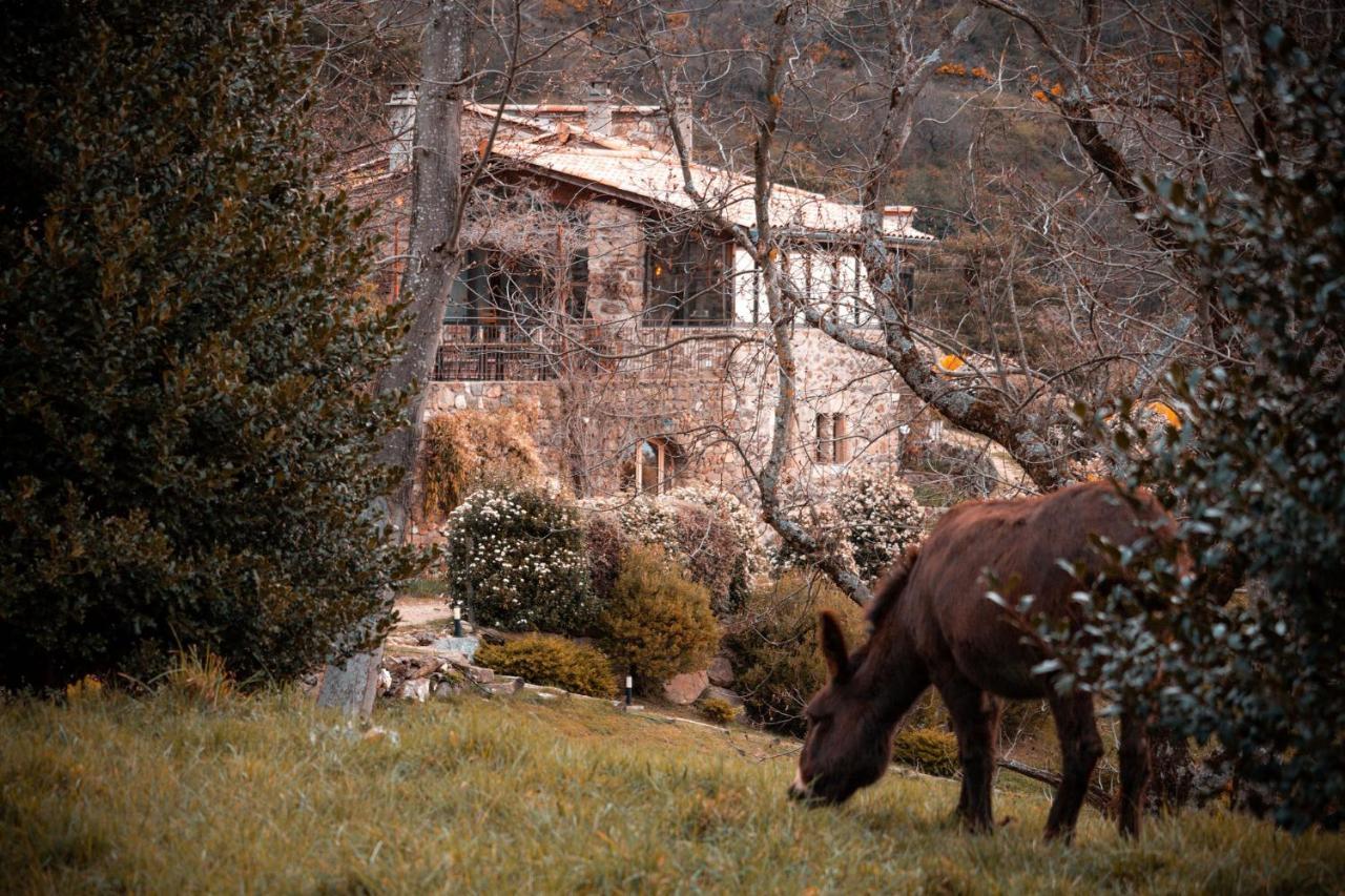 Maison D'Hotes Le Hameau De La Mure Saint-Laurent-du-Pape Dış mekan fotoğraf